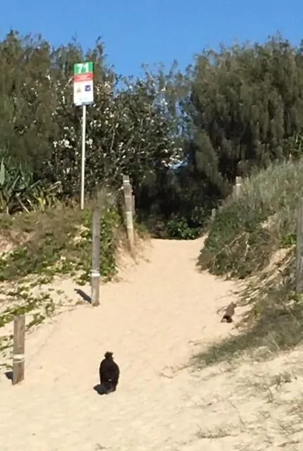 Tiny Comfy Flat With Bikes Διαμέρισμα Coolum Beach 0*,